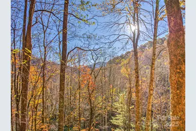 430 Long Branch Road, Maggie Valley, NC 28751 - Photo 31