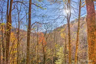 430 Long Branch Rd, Maggie Valley, NC 28751 - Photo 31