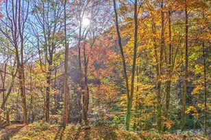 430 Long Branch Rd, Maggie Valley, NC 28751 - Photo 25