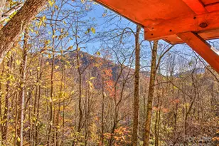 430 Long Branch Rd, Maggie Valley, NC 28751 - Photo 33