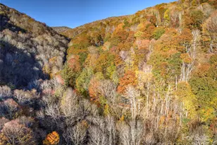 430 Long Branch Rd, Maggie Valley, NC 28751 - Photo 29