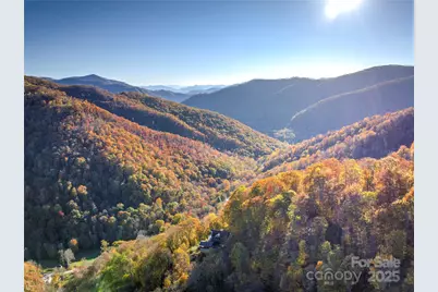 430 Long Branch Road, Maggie Valley, NC 28751 - Photo 3