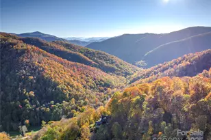 430 Long Branch Rd, Maggie Valley, NC 28751 - Photo 3