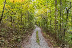 167 Balfour Dr, Rutherfordton, NC 28139 - Photo 5