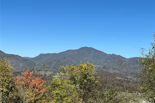 114 Nesting Ridge, Waynesville, NC 28785 - Photo 27