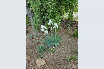 2199 Coddle Creek Highway, Mooresville, NC 28115 - Photo 3