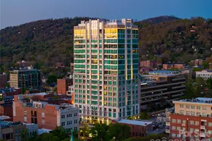 7 Patton Ave, Asheville, NC 28801 - Photo 3