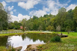 1388 King Rd, Pisgah Forest, NC 28768 - Photo 35