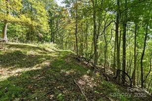 1623 Ammons Branch Rd, Marshall, NC 28753 - Photo 25