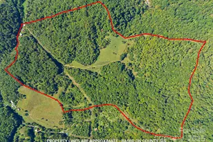 1623 Ammons Branch Rd, Marshall, NC 28753 - Photo 11