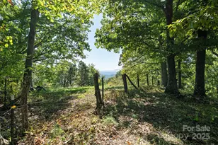 1623 Ammons Branch Rd, Marshall, NC 28753 - Photo 21