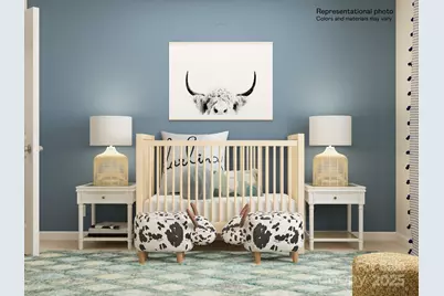 1415 Caracara Court, Belmont, NC 28012 - Photo 19