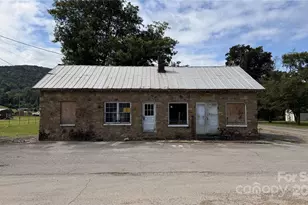 41 Upper Shut in Rd, Hot Springs, NC 27843 - Photo 1