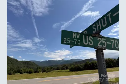 41 Upper Shut in Road, Hot Springs, NC 27843 - Photo 21