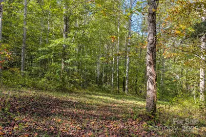 170 Midnight Sun Lane, Old Fort, NC 28762 - Photo 7