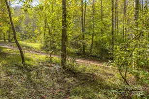 170 Midnight Sun Ln, Old Fort, NC 28762 - Photo 31