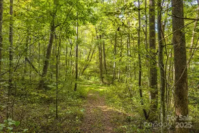 170 Midnight Sun Lane, Old Fort, NC 28762 - Photo 37
