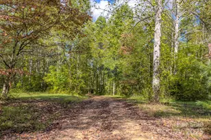 170 Midnight Sun Ln, Old Fort, NC 28762 - Photo 25