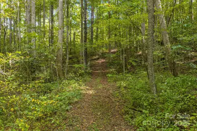 170 Midnight Sun Lane, Old Fort, NC 28762 - Photo 35