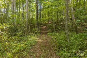 170 Midnight Sun Ln, Old Fort, NC 28762 - Photo 35