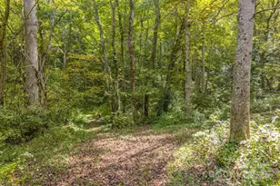 170 Midnight Sun Ln, Old Fort, NC 28762 - Photo 5