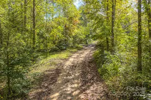 170 Midnight Sun Ln, Old Fort, NC 28762 - Photo 33