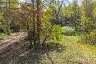 170 Midnight Sun Ln, Old Fort, NC 28762 - Photo 27