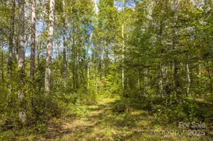 170 Midnight Sun Ln, Old Fort, NC 28762 - Photo 29