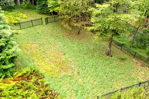 23 Dividing Ridge Tr, Arden, NC 28704 - Photo 33