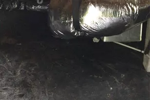 2610 Tablerock Rd, Lenoir, NC 28645 - Photo 19