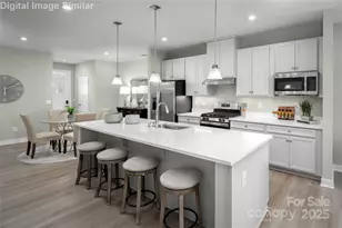 11011 Emerson Lndg Dr, Charlotte, NC 28216 - Photo 5