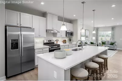 11015 Emerson Landing Drive, Charlotte, NC 28216 - Photo 3