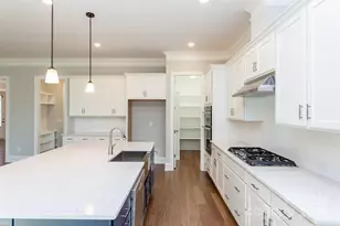 10046 Tepa Pl, Tega Cay, SC 29708 - Photo 5