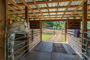 1434 Lake Adger Rd, Mill Spring, NC 28756 - Photo 37