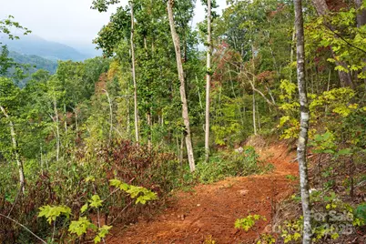 00 E Cope Creek Road, Sylva, NC 28779 - Photo 23
