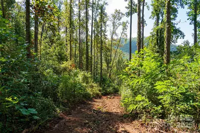00 E Cope Creek Road, Sylva, NC 28779 - Photo 9