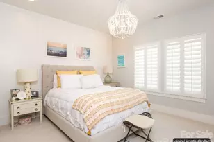 134 Willow View Loop, Davidson, NC 28036 - Photo 31