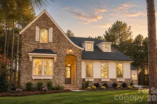 134 Willow View Loop, Davidson, NC 28036 - Photo 1