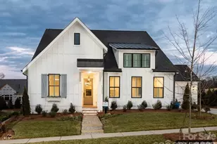 134 Willow View Loop, Davidson, NC 28036 - Photo 3