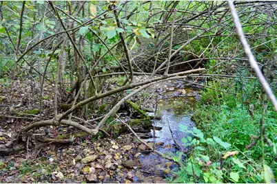 294 Gable Hill Lane, Bostic, NC 28018 - Photo 43