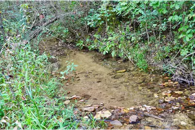 294 Gable Hill Lane, Bostic, NC 28018 - Photo 45