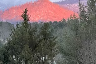 57 Union Chapel Rd, Weaverville, NC 28787 - Photo 39