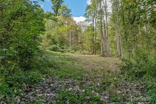 945 Roaring Fork Rd, Hot Springs, NC 28743 - Photo 43