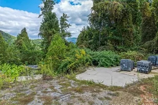 945 Roaring Fork Rd, Hot Springs, NC 28743 - Photo 41