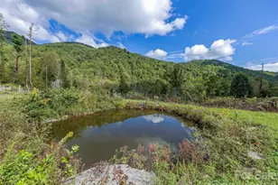 945 Roaring Fork Rd, Hot Springs, NC 28743 - Photo 33