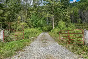 945 Roaring Fork Rd, Hot Springs, NC 28743 - Photo 41