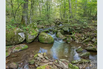 945 Roaring Fork Road, Hot Springs, NC 28743 - Photo 43