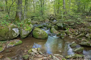 945 Roaring Fork Rd, Hot Springs, NC 28743 - Photo 43