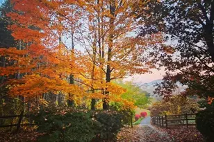 74 Huntley Rd, Fletcher, NC 28732 - Photo 45