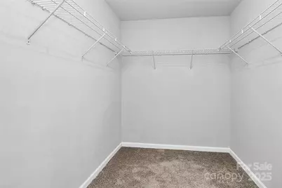 3852 Amalia Place, Fort Mill, SC 29707 - Photo 21